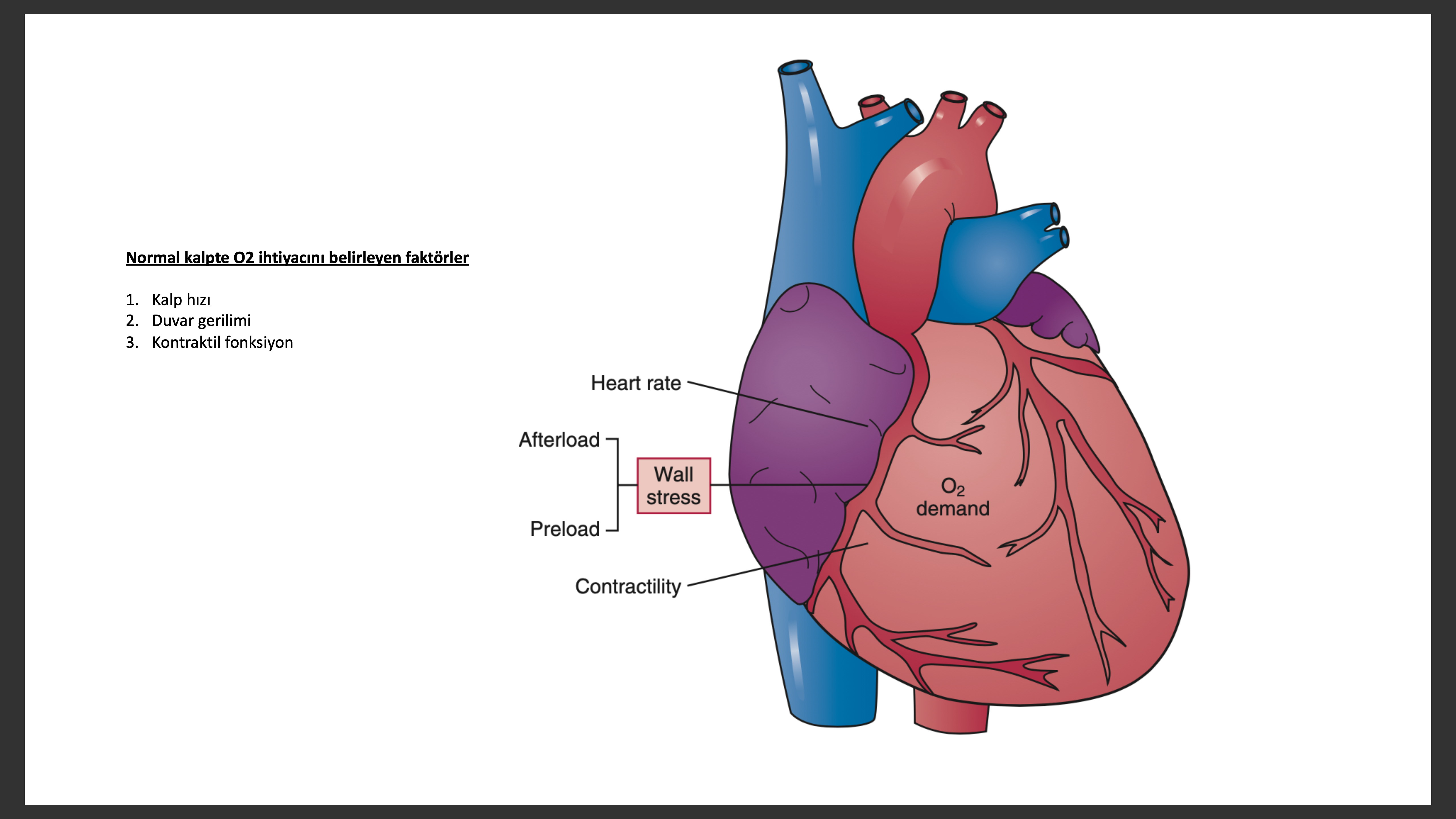 kalbin anahtarları x bölüm sağlık