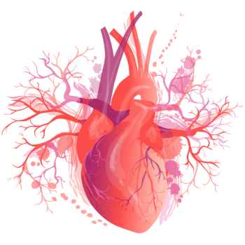 Kalp Kateterizasyonu ve basınç ölçümü
